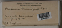 Image Associated With the Occurrence